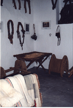 museo6.gif